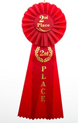 2nd Place - Rosette Ribbon Red