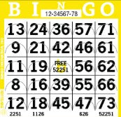 PUSHOUT BINGO PAPER - 750 CARDS